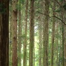 힐링산업 이미지