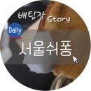 서울쉬퐁 이미지
