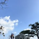 (주)대전사 | 주왕산 단풍 등산코스 (절골계곡~가메봉~용추폭포~대전사 종주산행)