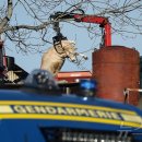 이정환농장 이미지