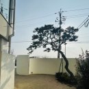 마고플레인아양 | 마고플레인 아양점 대형카페 진짜 솔직후기