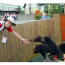 백두산 목장 이미지