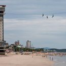 보령알프스가 이미지