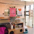 태능동물병원 이미지