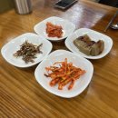 대우스넥 이미지