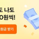 봉주네 | ​요즘 동네 산책이 더 즐거워진 이유, 당근 '달려라 봉주' 걷기 기부 참여 후기