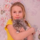 애묘(고양이)백과 - 터키시 앙고라 (Turkish Angora) 이미지