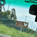 (주)테크비즈니스랜드 | 홍디 출동(1) / 인천공항 아시아나항공 라운지 , 아시아나 홍콩 비즈니스 , 홍콩디즈니랜드 롯지호텔