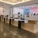 puppy lounge 이미지