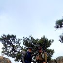 솔벗인테리어