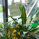 참한우농장 이미지