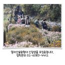 강동숲유치원 이미지