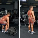 거북이GYM 이미지