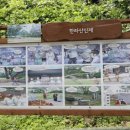 노루생태관찰원 | 제주도 5.16 도로에서 만나는 산천단은 무엇을 하는 곳? 아이들과 함께 가볼 만한 노루생태관찰원