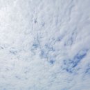 화성바벨클럽 이미지