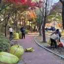 너른들공원 네이버블로그