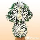 원북초등학교 이미지