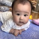 하린컴 이미지