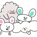 댕댕카페 이미지