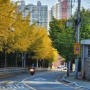 만덕대로 290번길 | 부산 만덕 맛있고 가성비 최고인 밥집 고천돈가스 만덕본점