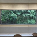 레포레스트(REFOREST) 이미지