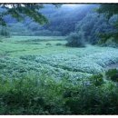 창성농장 이미지