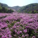 봉화산6-상