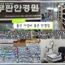 무판안경원 야음수암점 이미지