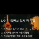 세교반점