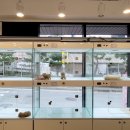 행복을줄개 이미지