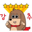 디딤돌협동조합 이미지