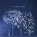 시적인순간