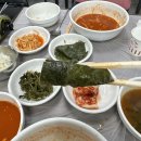 동해묵호 청해회수산 물회 맛집 발견_가성비 강추