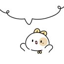 동해안생골뱅이 이미지