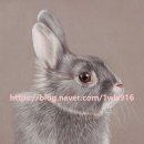 정밀화와 수채화 이미지