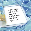 가양갤러리 Daum카페