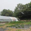 방실농장 이미지