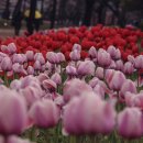 연지공원1 이미지