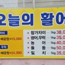포장횟집 - 성남시 분당구 동판교로 212 | 포장횟집