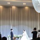 크라운호프 화정힐스테이트점 | 지난주말 다녀온 노총각 결혼식 + 탕진잼