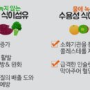 밥식이 이미지
