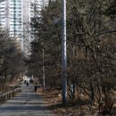 아미스카페3호 이미지