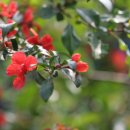 온치과병원 이미지