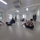 본  주짓수 유도 이미지