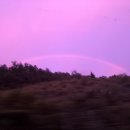 춘천제일닭갈비 이미지