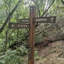 일장천약수터 티스토리