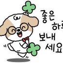 이플제주 이미지