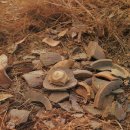 사랑골목장 | 고려청자도요지(高麗靑紫陶窯址)