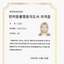 바우스쿨 네이버블로그