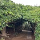 제이학센 이미지